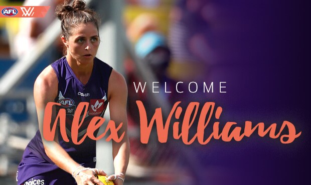 WILLIAMS_HERO.jpg